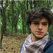 Ciao, offro lezioni di inglese, matematica, scienze e materie storico filosofiche